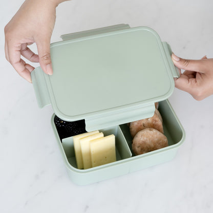 green recycled plastic bento box